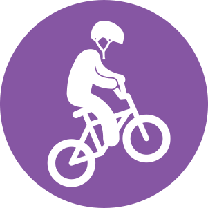 ico_bmx.png