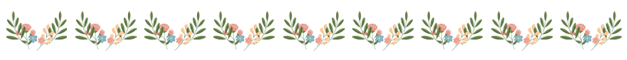 decor_escales_estivales2025.png