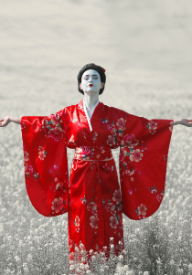 Madame Butterfly