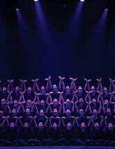 Murmuration