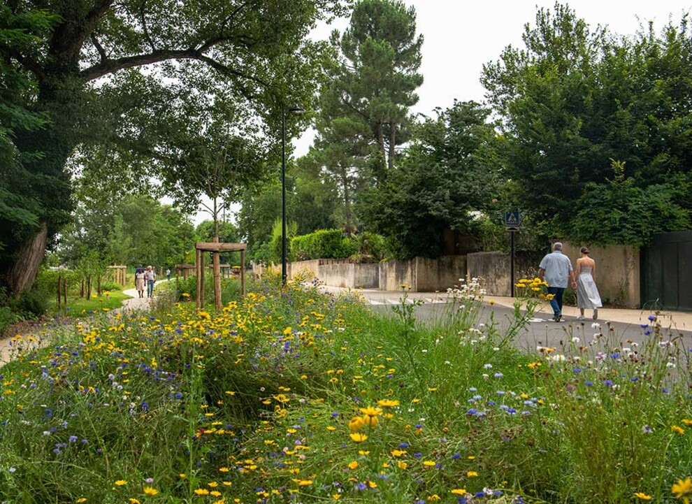 Balade à la découverte des espèces invasives