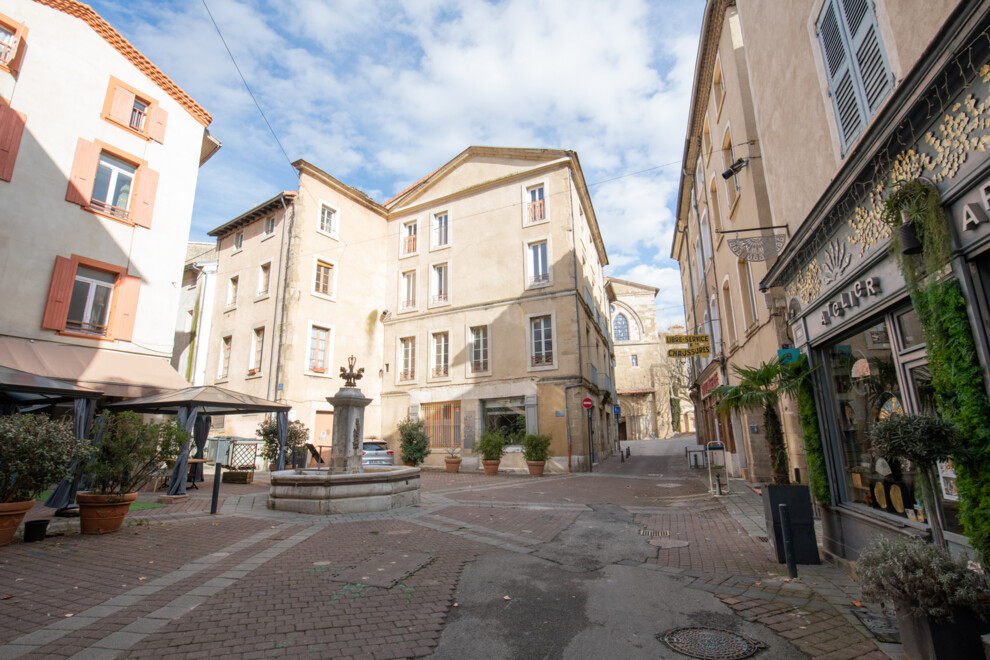 Centre historique - Pêcherie, Armillerie et Fuseau