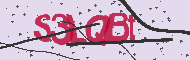 Code captcha